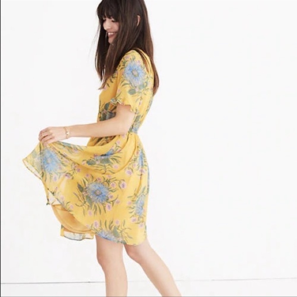 NWT Madewell Sweetgrass Ruffle Sleeve Dress - Picture 2 of 9